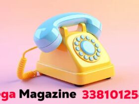 3381012544
