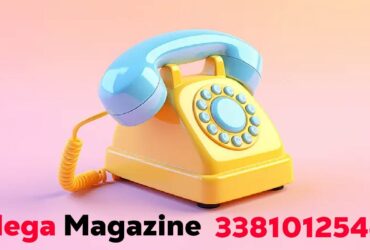 3381012544