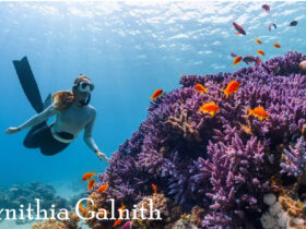 Pernithia Galnith
