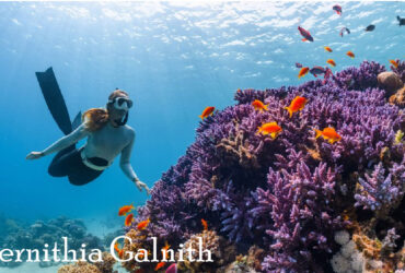 Pernithia Galnith