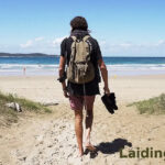 Laidings com