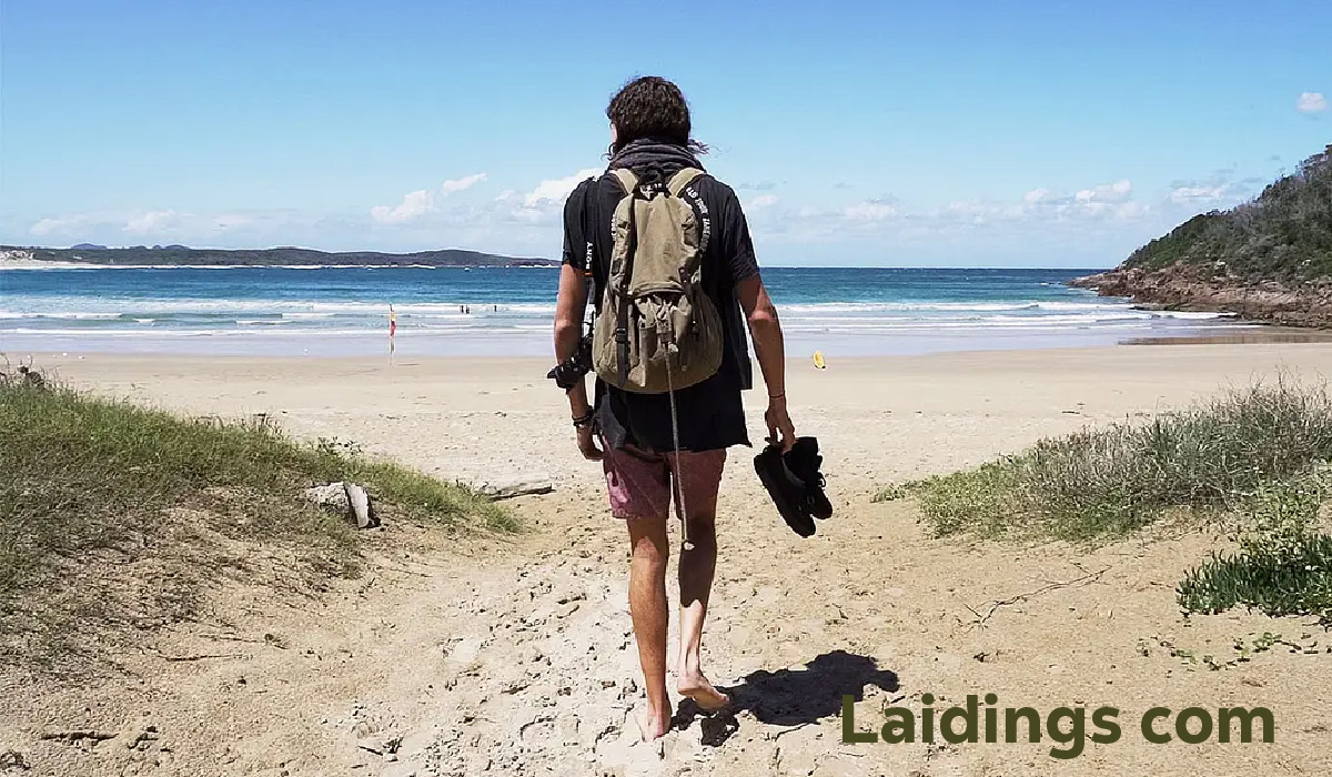 Laidings com