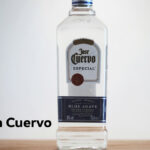 Camdin Cuervo