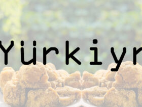Yürkiyr