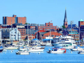 Profile Mia66 from Portland Maine
