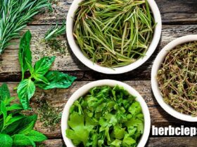 herbciepscam