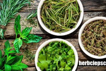 herbciepscam