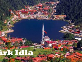 Türk Idla