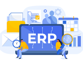 Custom ERP Software Development Services