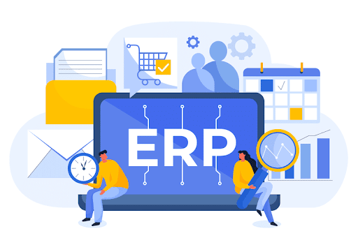 Custom ERP Software Development Services